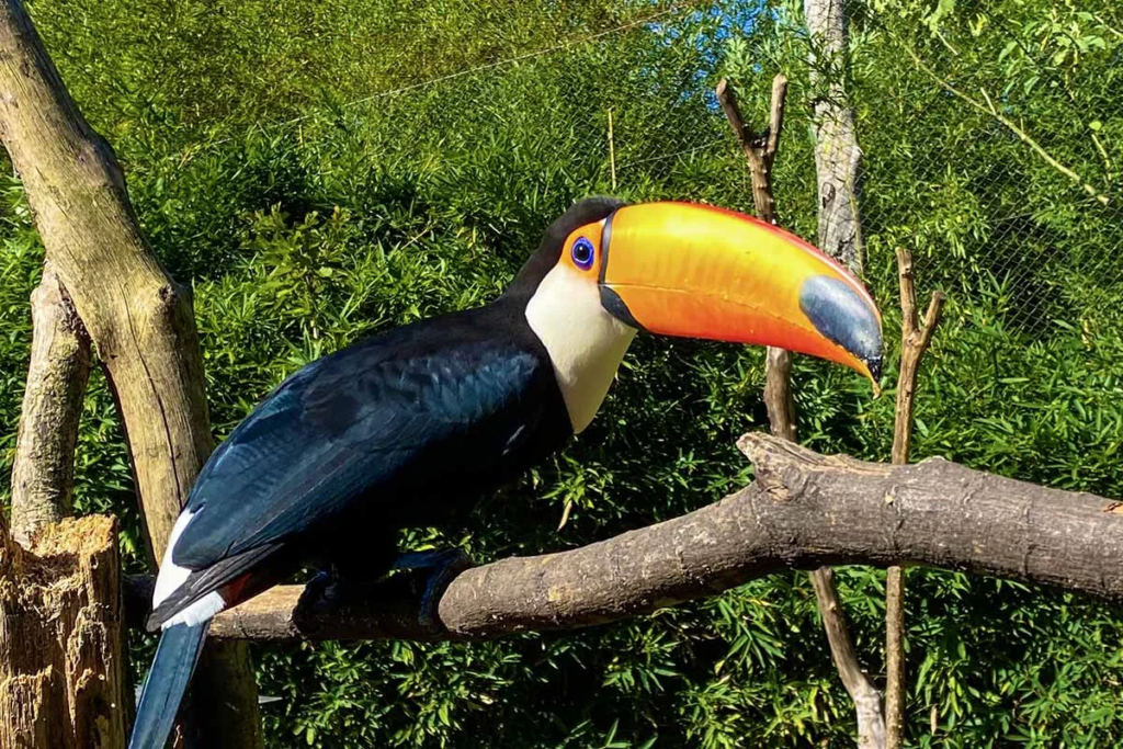 GramadoZoo, em Gramado.