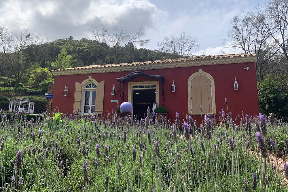 Parque de Lavanda Le Jardin, em Gramado